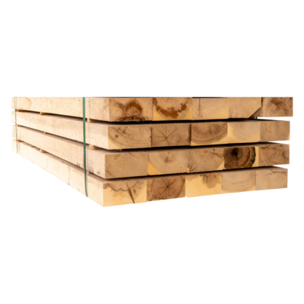Lot de 10 traverses en chêne massif - 1,2 m × 200 × 100 mm (non traité)
